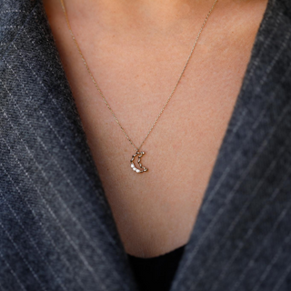 Altın Burgu Ay Kolye