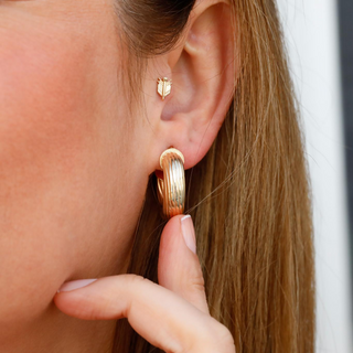 Midi Retro Burgu Altın Küpe